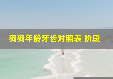 狗狗年龄牙齿对照表 阶段